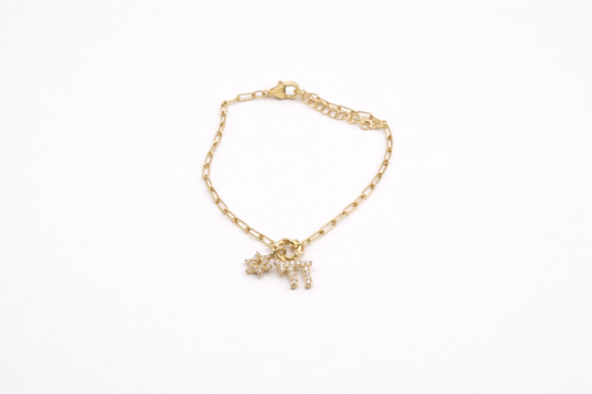 Chai and Magen David Link Bracelet